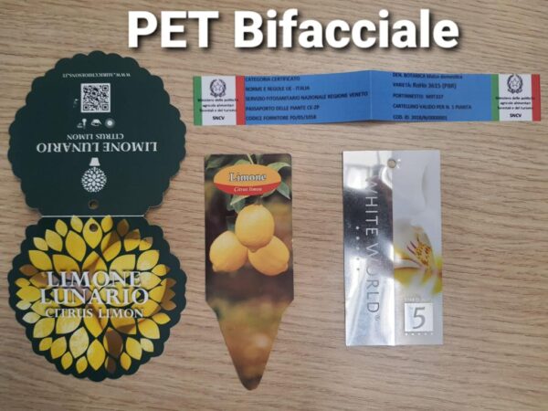 PET Bifacciale